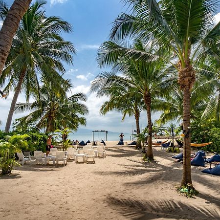 Echo Beach Hostel Baan Tai Eksteriør bilde