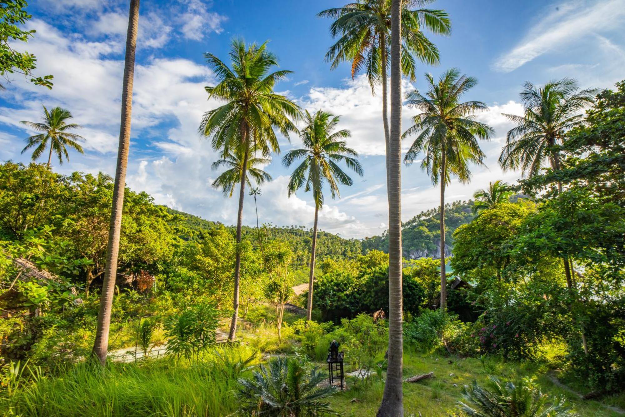Echo Beach Hostel Baan Tai Eksteriør bilde