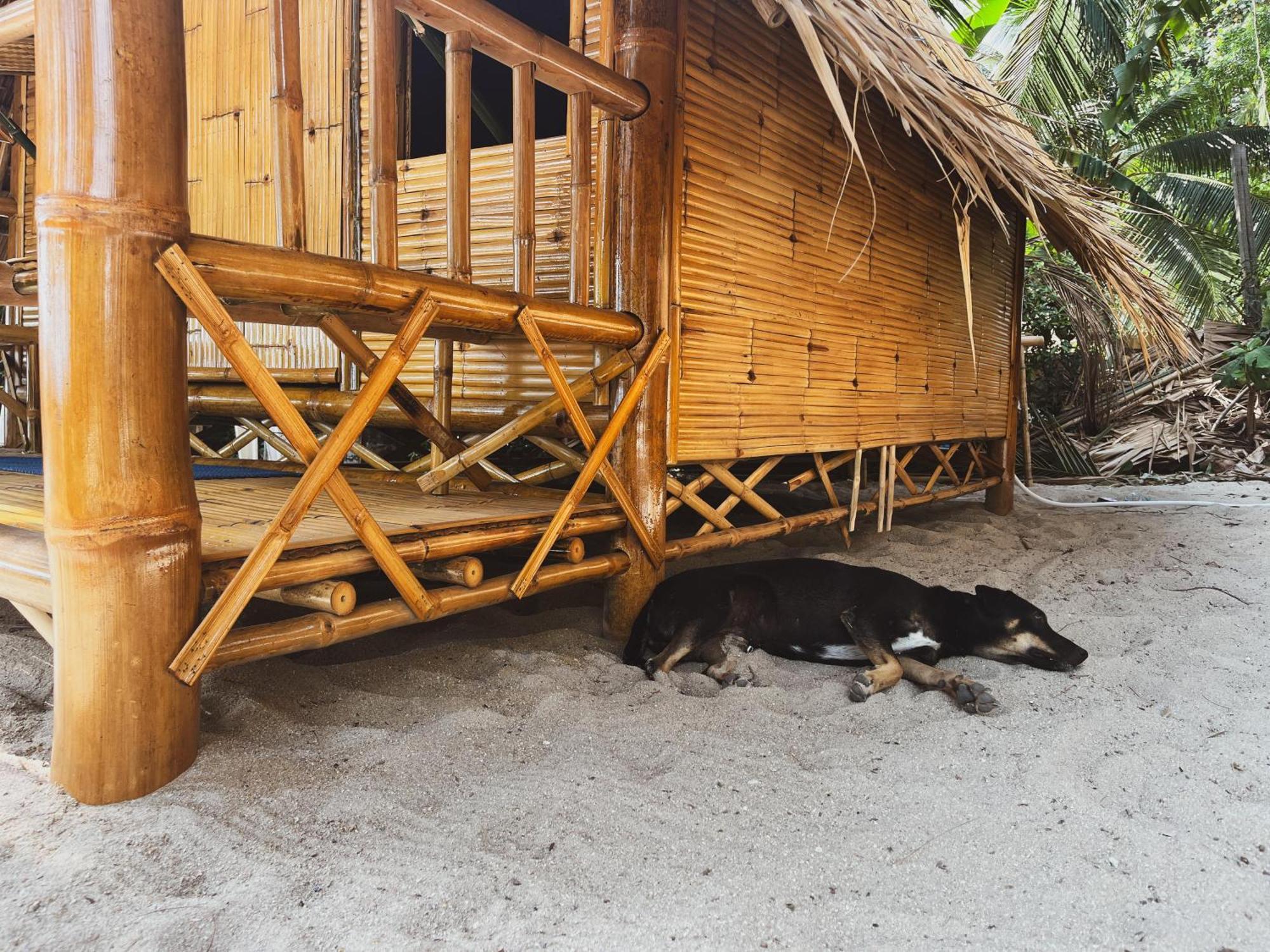 Echo Beach Hostel Baan Tai Eksteriør bilde